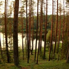 Гостевой дом На Вокзальной, Няндома, Архангельская область