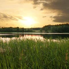 Гостевой дом На Вокзальной, Няндома, Архангельская область