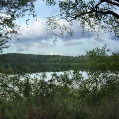 Гостевой дом На Вокзальной, Няндома, Архангельская область