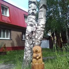 Гостевой дом Спутник, Няндома, Архангельская область