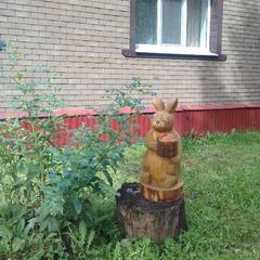 Гостевой дом Спутник, Няндома, Архангельская область