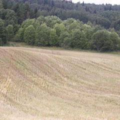 Гостевой дом На Вокзальной, Няндома, Архангельская область