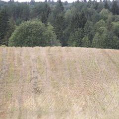 Гостевой дом На Вокзальной, Няндома, Архангельская область