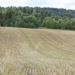 Гостевой дом На Вокзальной, Няндома, Архангельская область