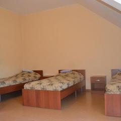 Мотель Мотель У Петровича, Обь, Новосибирская область