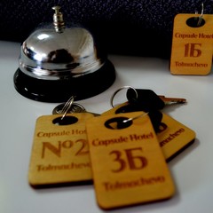 Отель Capsule Hotel Tolmachevo, Обь, Новосибирская область