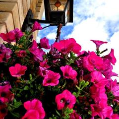 Хостел Обнинск, Обнинск, Калужская область