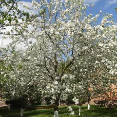Загородный дом Баковка Хаус, Одинцово, Московская область