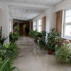 Гостиница МГИМО, Одинцово, Московская область