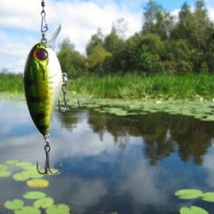 База отдыха Лесные Озерки, Озерки, Ленинградская область