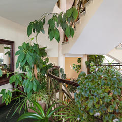 Гостиница Silky Way, Октябрьский (Московская область), Московская область