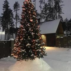 База отдыха Дубки, Бор, Нижегородская область