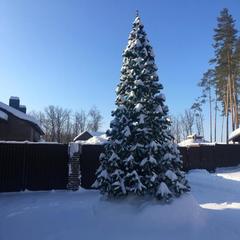 База отдыха Дубки, Бор, Нижегородская область