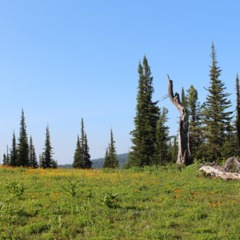 База отдыха Ергаки, Оленья Речка, Красноярский край