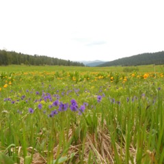 База отдыха Ергаки, Оленья Речка, Красноярский край