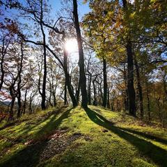 Гостевой дом Натали, Ольгинка, Краснодарский край
