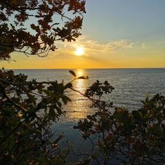 Гостевой дом Натали, Ольгинка, Краснодарский край