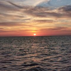 Гостевой дом Натали, Ольгинка, Краснодарский край