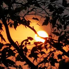 Гостевой дом Натали, Ольгинка, Краснодарский край