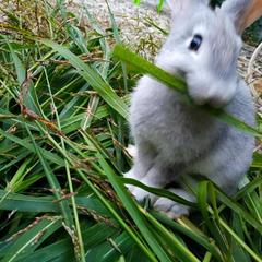 Гостевой дом Белая студия, Ольгинка, Краснодарский край