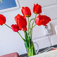 Гостевой дом Белая студия, Ольгинка, Краснодарский край