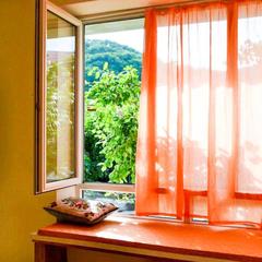 Гостевой дом Белая студия, Ольгинка, Краснодарский край