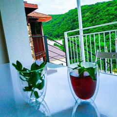 Гостевой дом Белая студия, Ольгинка, Краснодарский край