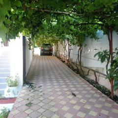 Гостевой дом На Солнечной 13, Ольгинка, Краснодарский край