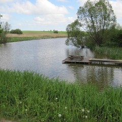 Гостевой дом Русь, Ольховатка, Калининградская область