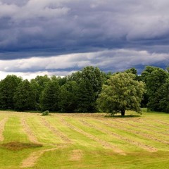 Гостевой дом Русь, Ольховатка, Калининградская область
