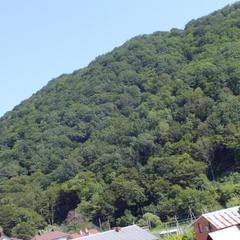 Гостевой дом На Солнечной 13, Ольгинка, Краснодарский край