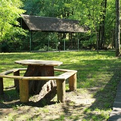 Гостевой дом Русь, Ольховатка, Калининградская область