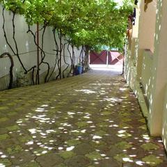 Гостевой дом На Солнечной 13, Ольгинка, Краснодарский край