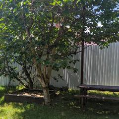 Гостевой дом На Солнечной 13, Ольгинка, Краснодарский край