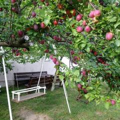 Гостевой дом На Солнечной 13, Ольгинка, Краснодарский край