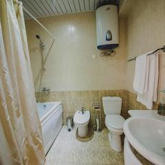 Гостиница Подкова на Губкина, Омск, Омская область