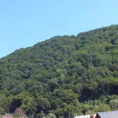 Гостевой дом На Солнечной 13, Ольгинка, Краснодарский край