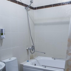 Гостиница Крокус, Омск, Омская область