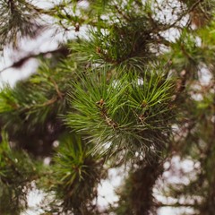 Гостиничный комплекс Иртыш, Омск, Омская область