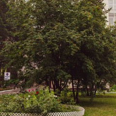 Гостиничный комплекс Иртыш, Омск, Омская область