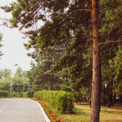 Гостиничный комплекс Иртыш, Омск, Омская область