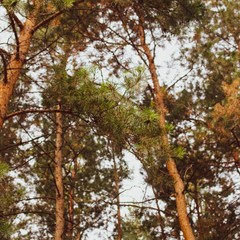 Гостиничный комплекс Иртыш, Омск, Омская область