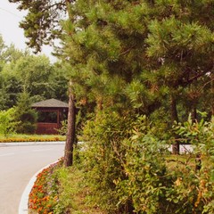 Гостиничный комплекс Иртыш, Омск, Омская область