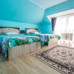 Гостиница Золотой лев, Омск, Омская область
