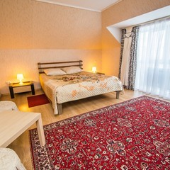 Гостиница Золотой лев, Омск, Омская область
