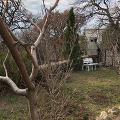 Гостевой дом Крым. Ностальжи, Поселок Оползневое, Крым, Крым