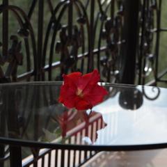 Клуб-отель Яр, Оренбург, Оренбургская область