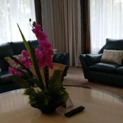 Гостиница Золотой Дракон, Оренбург, Оренбургская область