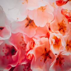 Гостиничный комплекс Твой, Оренбург, Оренбургская область