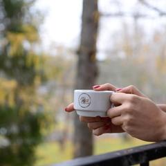 Отель Эдем, Орехово-Зуево, Московская область